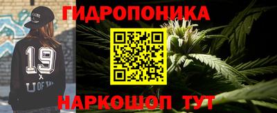 стафф Тула