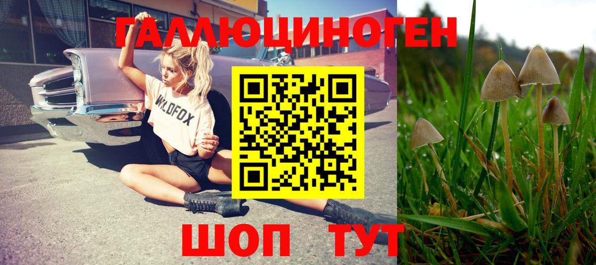 Нижнеудинск  Галлюциногенные грибы Cubensis  Вход с VPN 